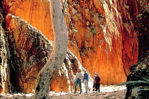 West MacDonnell Ranges Day Trip From Alice Springs - Accommodation Batemans Bay 3