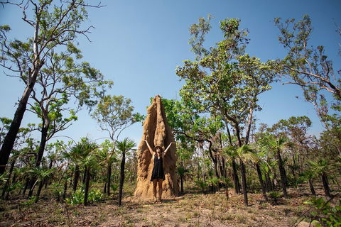 Litchfield National Park - Top End Day Tour From Darwin - Accommodation Batemans Bay 5