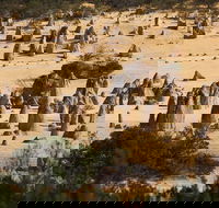 Pinnacles Sunset Dinner and Stargazing Experience a Small Group Tour - Accommodation Batemans Bay