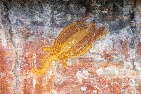 Kakadu Wilderness Escape - Top End Day Tour From Darwin - Accommodation Batemans Bay 2