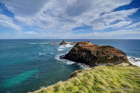 Small-Group Phillip Island Day Trip From Melbourne With Penguin Plus Viewing - Accommodation Batemans Bay 0