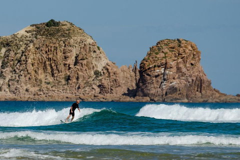 Small-Group Phillip Island Day Trip From Melbourne With Penguin Plus Viewing - Accommodation Batemans Bay 3