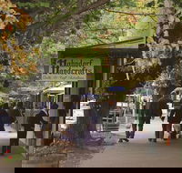 Adelaide Highlights Hahndorf  McLaren Vale Wine Tasting and Sightseeing Tour - Accommodation Batemans Bay