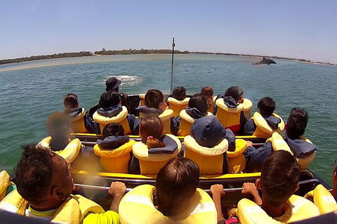 Jet Boat Express Ride - 30mins - Accommodation Batemans Bay 5