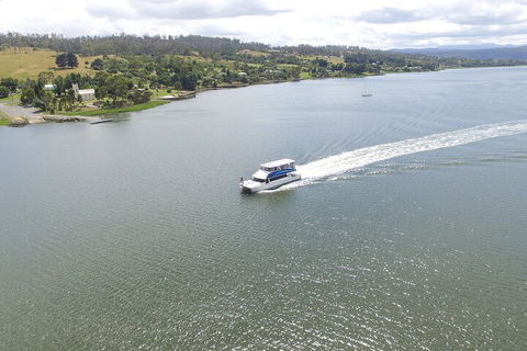 2.50 Hour Afternoon Discovery Cruise Including Cataract Gorge Departing At 3 Pm - Accommodation Batemans Bay 4