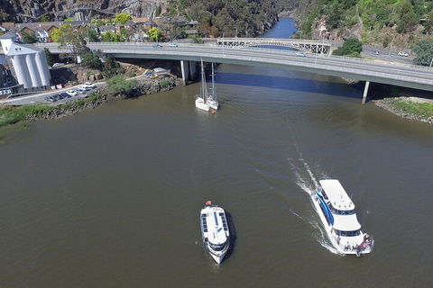 2.5 Hour Afternoon Discovery Cruise Including Cataract Gorge Departs At 1: 30 Pm - Accommodation Batemans Bay 5