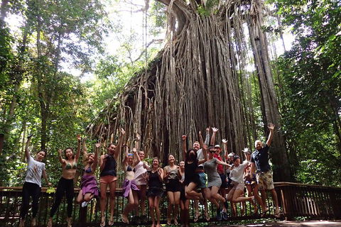 Atherton Tablelands Waterfalls Tour From Cairns - Accommodation Batemans Bay 5