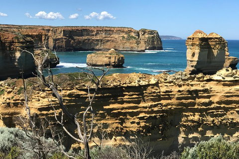 Great Ocean Road Reverse Itinerary Tour - Accommodation Batemans Bay 1