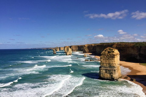 Great Ocean Road Reverse Itinerary Tour - Accommodation Batemans Bay 4