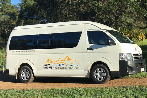 Noosa Everglades Serenity Cruise & Highlights Tour Inc. Lunch & Cruise - Accommodation Batemans Bay 5