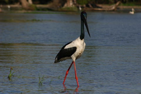 Litchfield And Jumping Crocodiles Full Day Trip From Darwin - Accommodation Batemans Bay 1