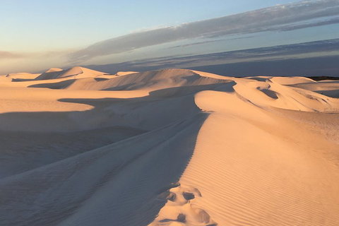 Pinnacles Desert Private Tour - Accommodation Batemans Bay 1