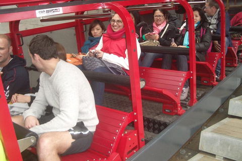 Blue Mountains Private Tour With Wildlife Park And River Cruise - Accommodation Batemans Bay 0