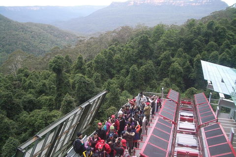 Blue Mountains Private Tour With Wildlife Park And River Cruise - Accommodation Batemans Bay 1