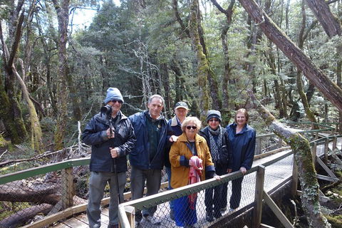 Blue Mountains Private Tour With Wildlife Park And River Cruise - Accommodation Batemans Bay 2