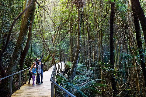 Blue Mountains Private Tour With Wildlife Park And River Cruise - Accommodation Batemans Bay 4