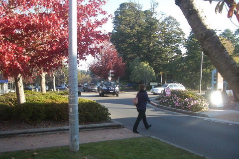 PRIVATE All-Day Blue Mountains Tour With Professional Guide For Up To 4 People - Accommodation Batemans Bay 1