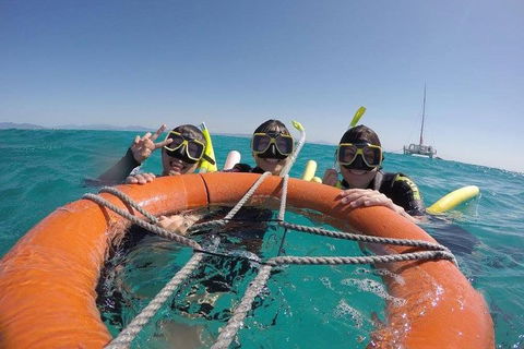 Full-Day Great Barrier Reef Sailing Trip - Accommodation Batemans Bay 0