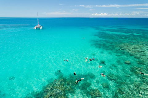 Full-Day Great Barrier Reef Sailing Trip - Accommodation Batemans Bay 2