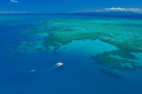 Full-Day Great Barrier Reef Sailing Trip - Accommodation Batemans Bay 3