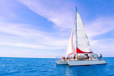 Full-Day Great Barrier Reef Sailing Trip - Accommodation Batemans Bay 4
