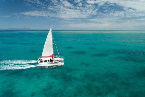 Full-Day Great Barrier Reef Sailing Trip - Accommodation Batemans Bay 5