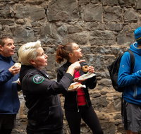 History  Donuts Walking Tour - Accommodation Batemans Bay