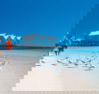 Margaret River and Geographe Bay Region Day Trip from Perth - Accommodation Batemans Bay