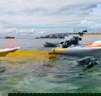 Seal Island and Penguin Island or Point Peron Sea Kayak Tour - Accommodation Batemans Bay