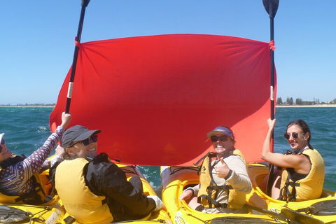 Seal Island And Penguin Island Or Point Peron Sea Kayak Tour - Accommodation Batemans Bay 2