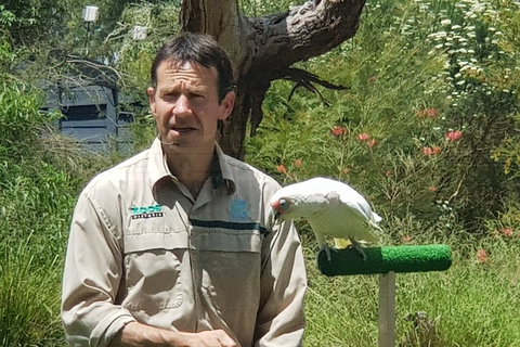 Healesville Sanctuary And Rayners Orchard Tour From Melbourne - Accommodation Batemans Bay 0