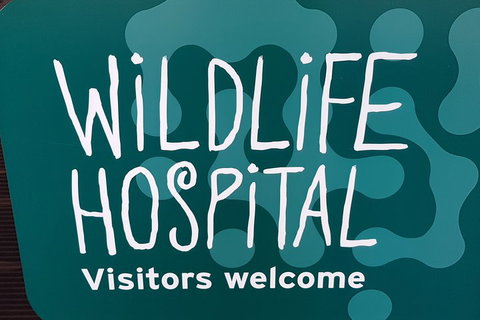 Healesville Sanctuary And Rayners Orchard Tour From Melbourne - Accommodation Batemans Bay 1