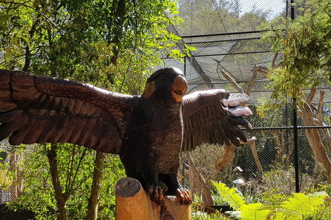 Healesville Sanctuary And Rayners Orchard Tour From Melbourne - Accommodation Batemans Bay 2