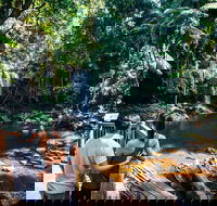 Aquaduck  Your choice of Gold Coast Rainforest Tour - Accommodation Batemans Bay