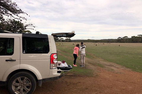 Kangaroo Island 4WD Tour - Flinders Chase - Accommodation Batemans Bay 3