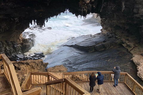 Kangaroo Island 4WD Tour - Best Of KI - Accommodation Batemans Bay 1