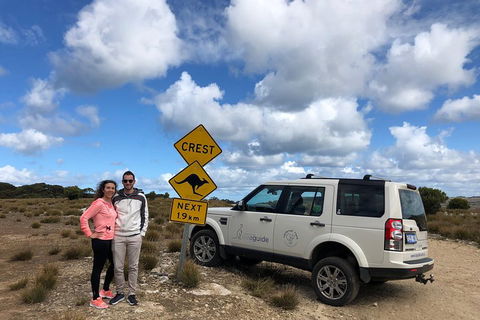 Kangaroo Island 4WD Tour - Best Of KI - Accommodation Batemans Bay 5
