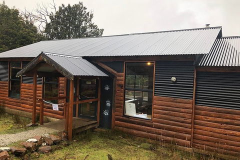 After Dark Tasmanian Devil Feeding Tour At Cradle Mountain - Accommodation Batemans Bay 3