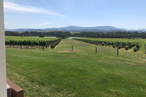 Yarra Valley, Dandenong Ranges Inc. Lunch With Wine,plus Morning Tea,chocolate - Accommodation Batemans Bay 3