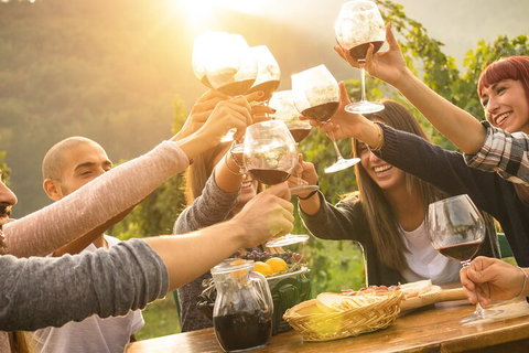 Yarra Valley, Dandenong Ranges Inc. Lunch With Wine,plus Morning Tea,chocolate - Accommodation Batemans Bay 4
