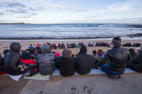 Full-Day Bus Tour Phillip Island Wildlife And Brighton Beach - Accommodation Batemans Bay 1
