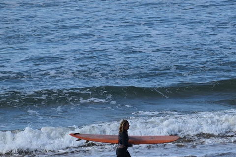 Full-Day Bus Tour Phillip Island Wildlife And Brighton Beach - Accommodation Batemans Bay 3