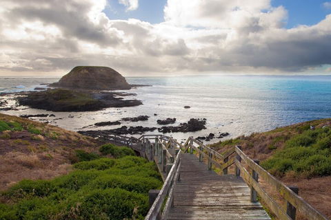 Healesville Sanctuary And Phillip Island Wildlife Bus Tour - Accommodation Batemans Bay 5