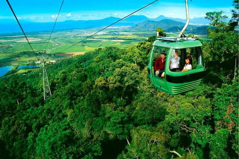 4-Day Cairns Ultimate Combo: Daintree Rainforest, Reef, Kuranda & Paronella Park - Accommodation Batemans Bay 1