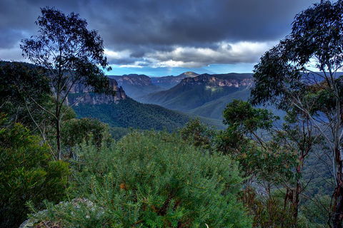 Ultimate Blue Mountains And Wildlife Tour - Accommodation Batemans Bay 1