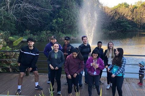 Natural Bridge, Skywalk And Mt Tamborine Adventure! - Accommodation Batemans Bay 4