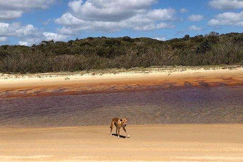 Pippies 3 Days 2 Nights Fraser Island Tour - Accommodation Batemans Bay 2