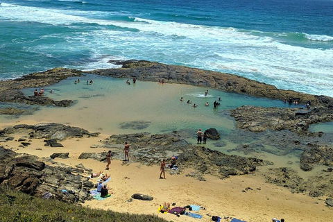 Pippies 3 Days 2 Nights Fraser Island Tour - Accommodation Batemans Bay 5