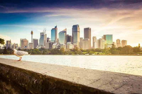 Private Sydney City And Bondi Beach Half Day Tour - Accommodation Batemans Bay 2
