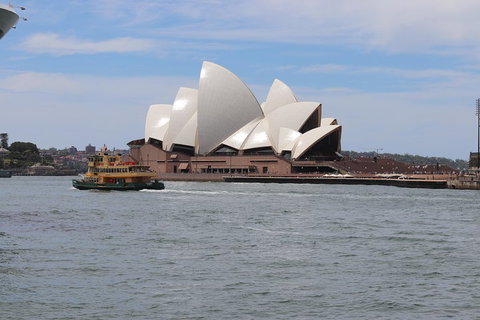 Private Sydney City And Bondi Beach Half Day Tour - Accommodation Batemans Bay 5